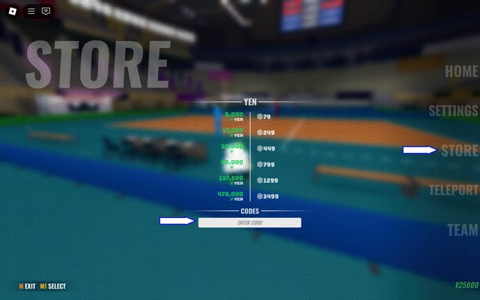 A screenshot of Spiked in Roblox showing the game's codes field and Store button.